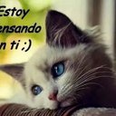 Irma Trujillo - @201451Irma - Twitter