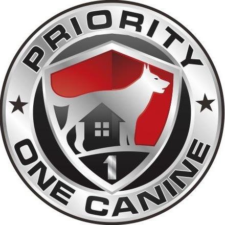 The leading provider of family-friendly personal security canines. It's Real Security. Right Now! #P1K9