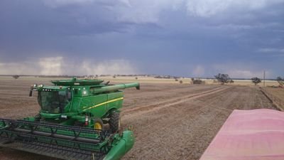 5th Generation Victorian Grain Farmer.
Nerrina Farms