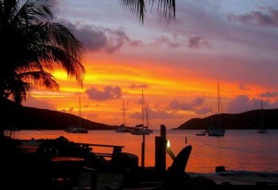 NanuBikini's profile picture. page for sports bar and grille to open in Nanu.