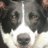 PatoGinger's profile image