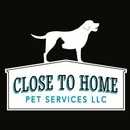 close2homepets's profile picture. We help your pets feel like they are on vacation too! Seattle based Dog walking and in your home pet sitting company. We love our job and our customers.
