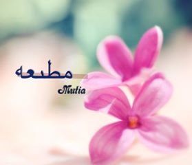 MutiaSaras2's profile picture. *sketcher *dreamer *muslimah *Tazkiyatun Nafs