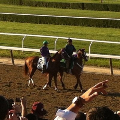Nash Bridges, Sonny Crockett, horse racing, and Monster Trucks