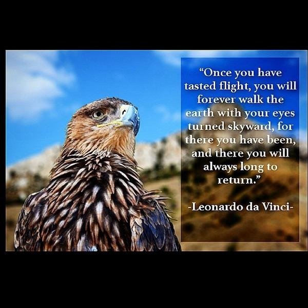 Adios202555's profile picture. 