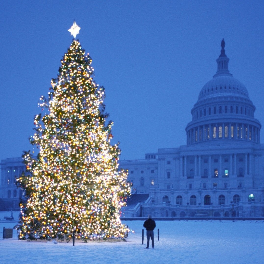 Getting you in the Christmas spirit!