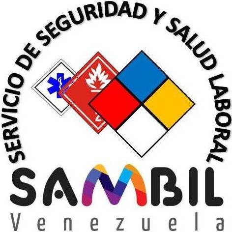 Solo temas de Seguridad y Salud Laboral