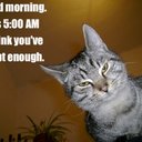 notts forest - @BillWyatt5 - Twitter