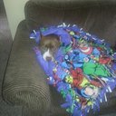 Mike Lash - @mjlash22 - Twitter