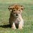 shori__sz_sato's profile image