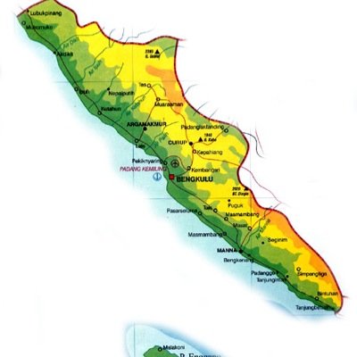 ridamayanti42's profile picture. 