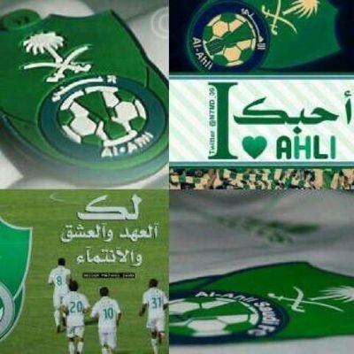 ‏عاشق الملكي بطل دوري جميل للمحترفين 2016