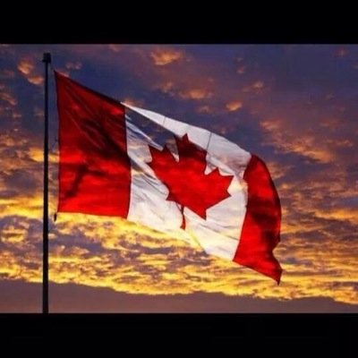 GrMisty's profile picture. 