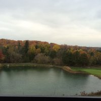 Hang Nguyen (@ms_nguyenh) 's Twitter Profile