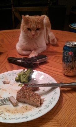 vafreemason75's profile picture. if u want to know...ask.......I'm an unoffendable open book.  #kcco