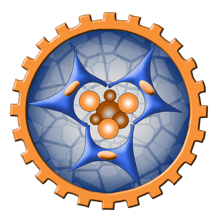 Saltzman Lab Profile