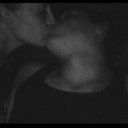 Jamie Plate - @JamieKieran3331 - Twitter