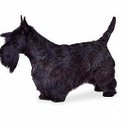 Ruth McManus - @ruthiemcmanus - Twitter