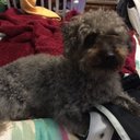 Dianna Edwards - @dieedwards11 - Twitter