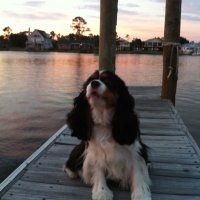 Em36561 (@em36561) 's Twitter Profile Photo Em36561 (@em36561) 's Twitter Profile Photo