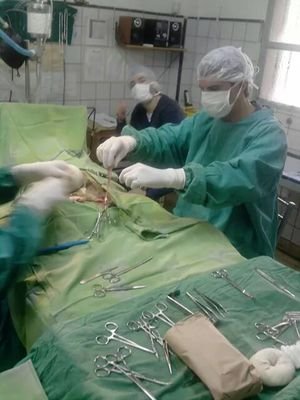 betocala's profile picture. 