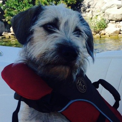 cowsmooov's profile picture. 