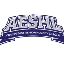 The official Twitter of the Avalon East Senior A Hockey League, celebrating its 51st season in 2017-18!