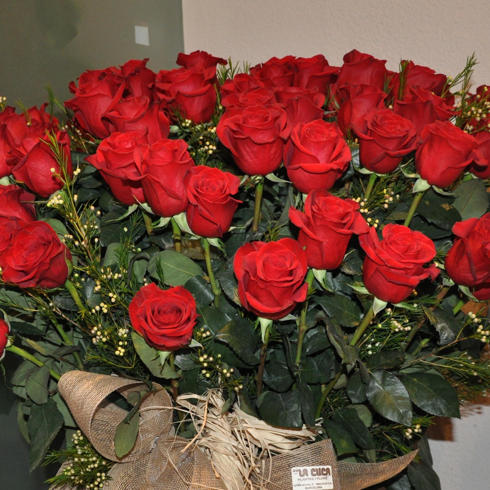 BorrasCarmen's profile picture. 