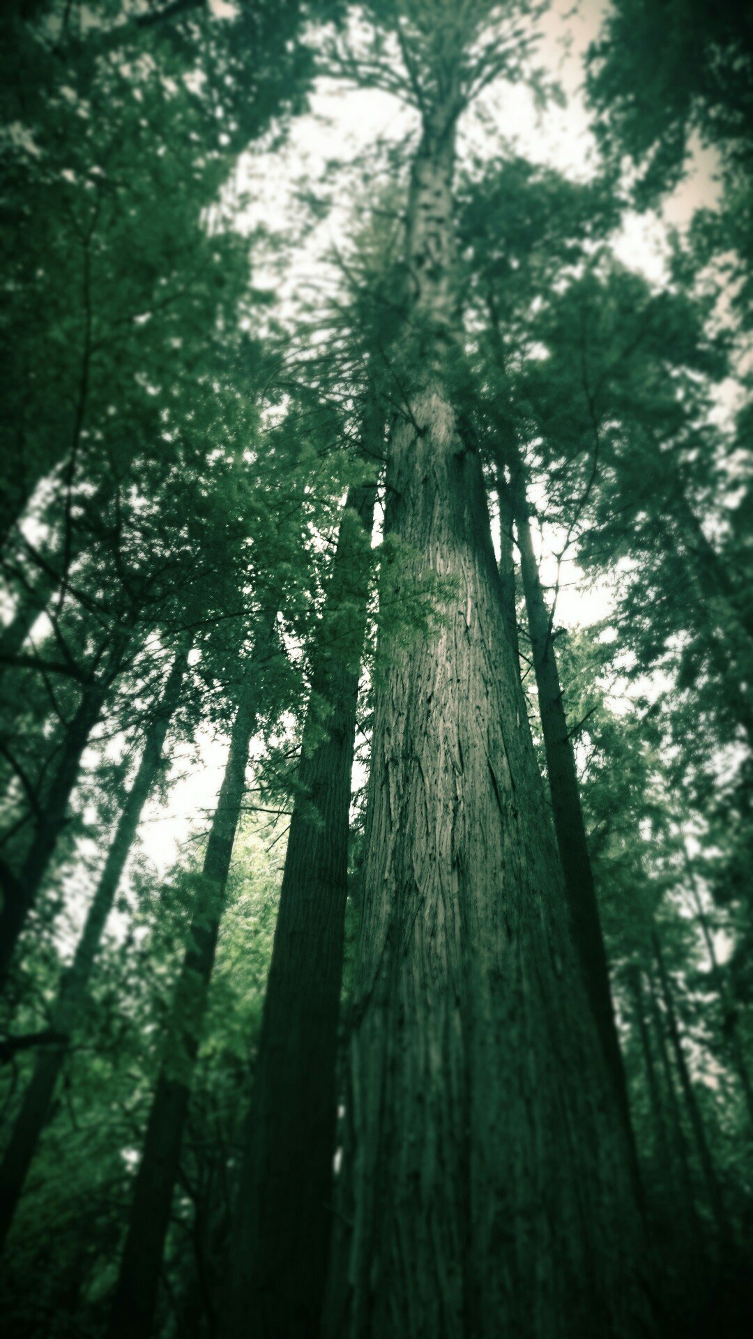 kevinct14's profile picture. 