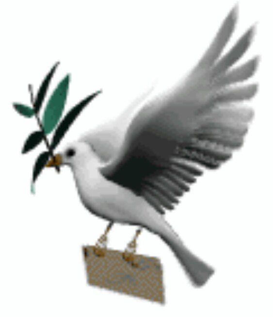 ‏‏‏‏‏‏نستقبل جميع اخبار قبيلة العجاونه على الخاص في حساب نيوز قبيلة العجاونه الإكترونية والله الموفق.