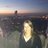 Sonia_Educo's profile image