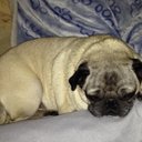 Nena Lee - @JohnnyBelindaLe - Twitter