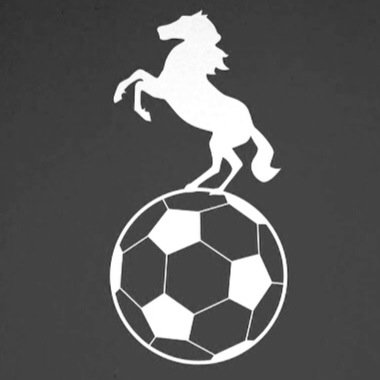 We'll be providing racing and football tips!! Searching for the best tips of the day, but won't be forced!! 🐎⚽️Any donations welcome through our PayPal