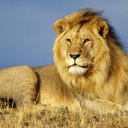 Savannah Wall - @AbcdeWall - Twitter