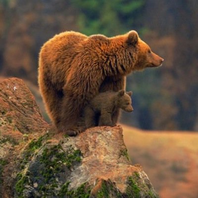 kassilynn1997's profile picture. 