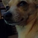 Angelo Calabrese - @angcalabrese82 - Twitter