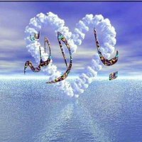 قاهرالعداء (@kaled12345417) 's Twitter Profile