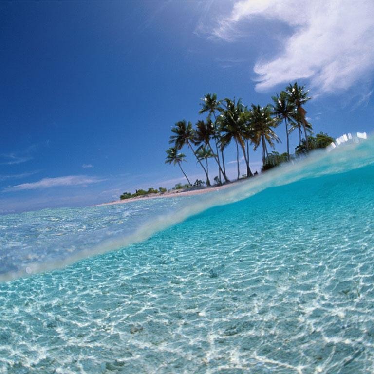 misswang11's profile picture. 세상의 모든 바둑이. 굿게임바둑이 왕팀장과 함께하시죠. 심의게임&원탁게임 O1O 5937 O2O1