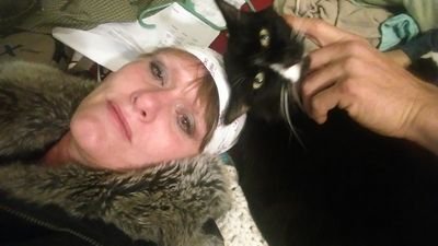 LaddKamb's profile picture. 