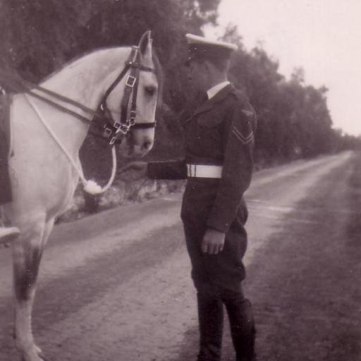 RayFozz's profile picture. 