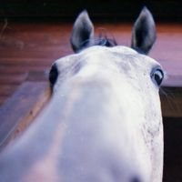 zenwei's profile picture. 任时光匆匆，唯心无常认常。