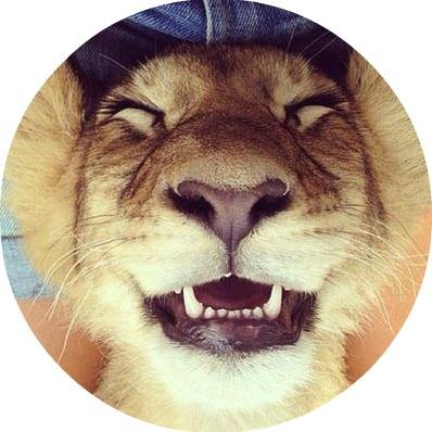 You know who I am... I'm an awesome lion.