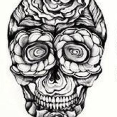 SchillaciJason's profile picture. Bio