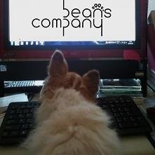 2016年11月法人化しました。
Beans Company CEO豆太郎のアカウント。アーティストのスケジュールや現場での様子などつぶやきます。天使のようで時々悪魔になります。  うかつに近寄ると噛みます（笑）。詳細はHPにて