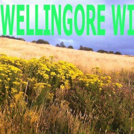 We are a happy, lively group of ladies who meet every 3rd Wednesday of the month at Wellingore Memorial Hall. Visitors are always welcome