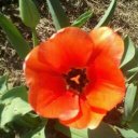 Anne Wicke - @anne_wicke - Twitter