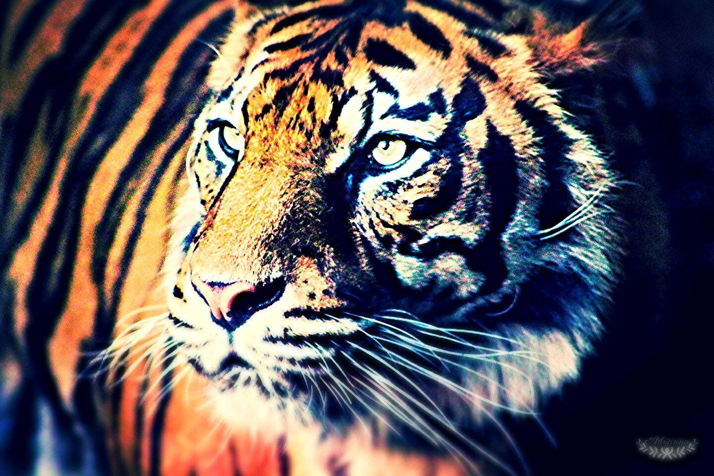 guzel290604's profile picture. 