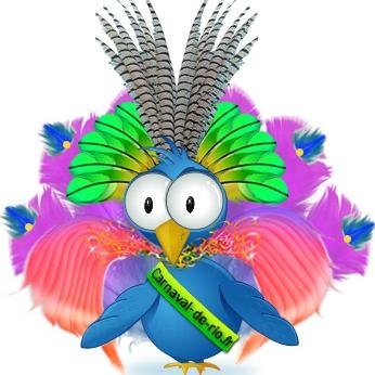 Fotos do carnaval do Rio. Actualité du carnaval de Rio en français, photos, vidéos, reportages. Samba, carnaval, batucada, danseuses brésiliennes