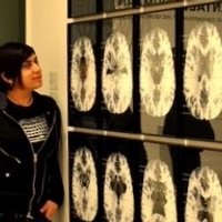 Burcu Arslan, PhD (@barslan_cogsci) 's Twitter Profile