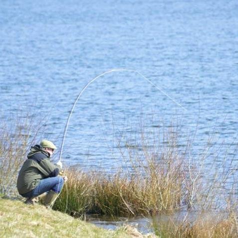 pdesmith's profile picture. 